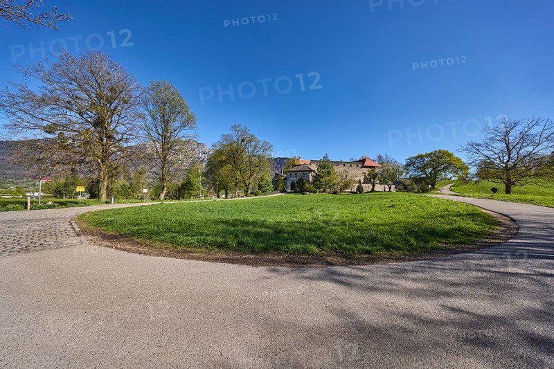 Street, landscape, landscape photography, trees, lawn, footpath, blue sky, cloudless, Gmainer Straße, Pfannhauserweg, Bad Reichenhall, Berchtesgadener Land district, Bavaria, Germany