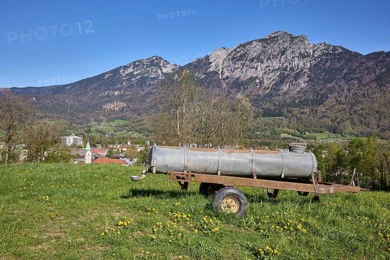 Cattle watering trough, agricultural equipment, cultural landscape, agriculture, mountain landscape, mountains, meadow, common dandelion (Taraxacum sect. Ruderalia), trees, blue sky, cloudless, Bad Reichenhall, district Berchtesgadener Land, Bavaria, Germany