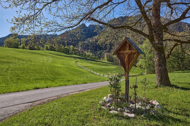 Crossroads, hill, mountain landscape, hilly, coniferous forest, trees, meadow, fence, backlight, blue sky, cloudless, Gmainer Straße, Bad Reichenhall, district Berchtesgadener Land, Bavaria, Germany
