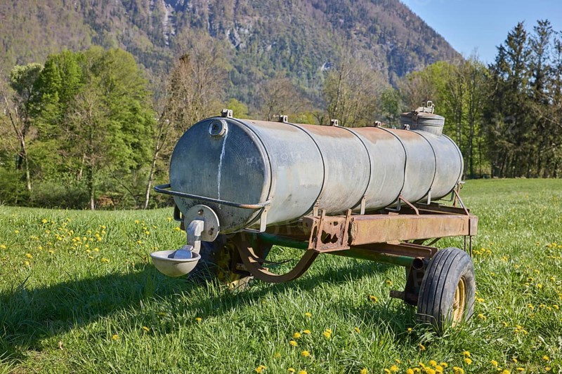 Cattle trough, agricultural equipment, cultural landscape, agriculture, mountain landscape, mountains, meadow, Taraxacum sect. Ruderalia, trees, depth of field, blue sky, cloudless, Bad Reichenhall, district Berchtesgadener Land, Bavaria, Germany