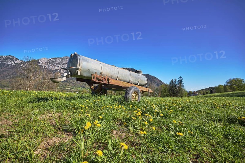 Cattle watering, agricultural equipment, cultural landscape, agriculture, mountain landscape, mountains, meadow, common dandelion (Taraxacum sect. Ruderalia), trees, frog perspective, blue sky, cloudless, Bad Reichenhall, district Berchtesgadener Land, Bavaria, Germany