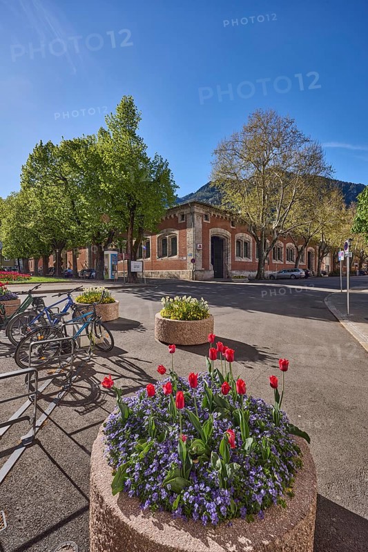 Historic buildings, bicycle stand, bicycle, flower pots, trees, backlight, blue sky, cloudless, Ludwigstraße, Unterer Lindenplatz, Aegidiplatz, Bad Reichenhall, Berchtesgadener Land district, Bavaria, Germany