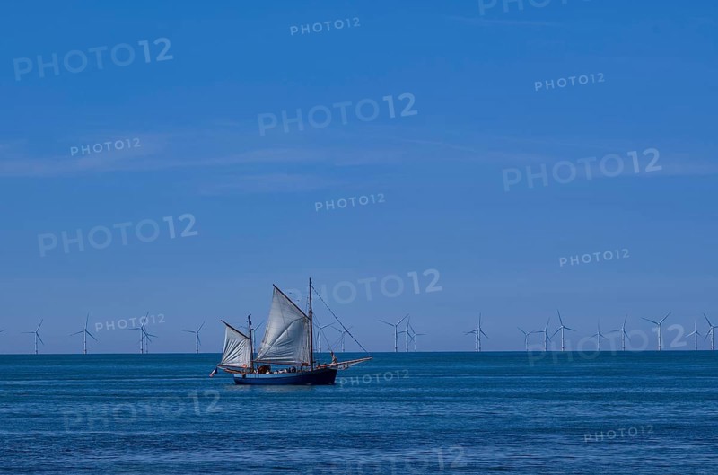 Tourist boat, sailing boat, sailing on sea, sky, blue, behind offshore wind farm, wind turbines, Yport, Normandy, Seine-Maritime, France