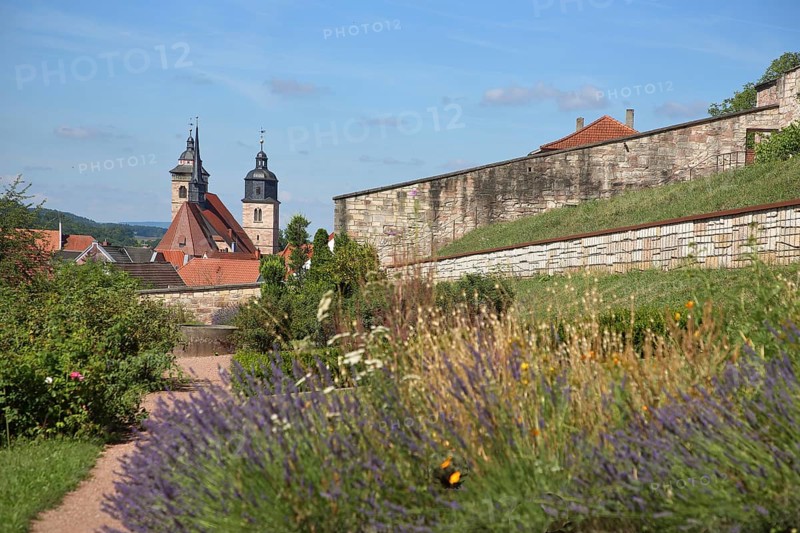 Terraced garden and St George's Church, flower bed, ornamental garden, Schmalkalden, Franconia, Thuringia, Germany