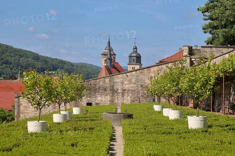 Terrace garden with potted plants with St George's Church, ornamental garden, cityscape, terrace garden, Schmalkalden, Franconia, Thuringia, Germany