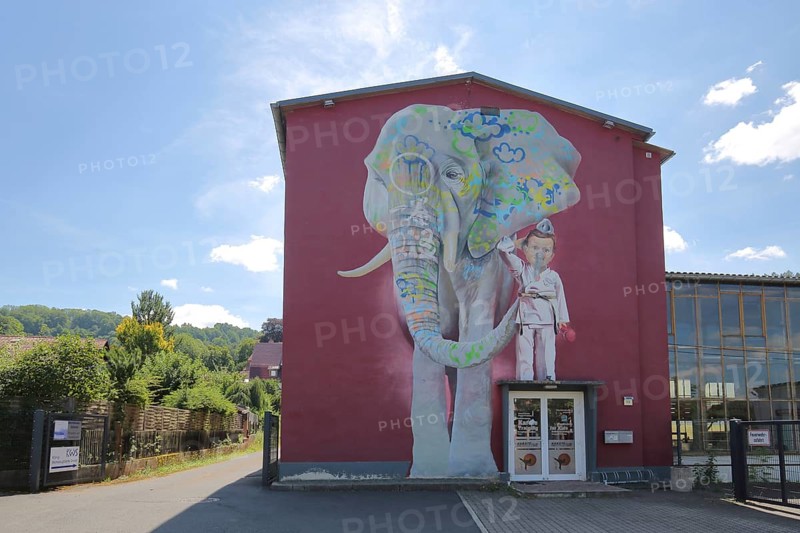 Mural The Elephant by CASE 2013, street art, graffiti, mural, elephant figure, child, boy, front door, standing, sports school, karate, house facade, wine red, Schmalkalden, Franconia, Thuringia, Germany