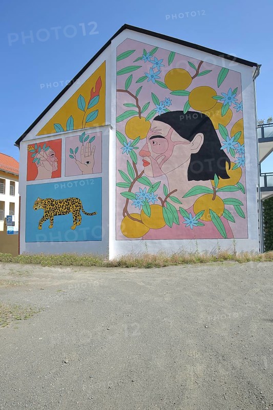 Mural The Revival by Alin Mor 2022, street art, graffiti, mural, house facade, revival, revive, leopard, jaguar, predator, head, face, hand, eye, fruit, fruit, Schmalkalden, Franconia, Thuringia, Germany
