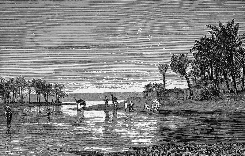 Landscape near Saint Louis in the border region of Senegal and Gambia, Senegal River, palm trees, camels, people, historical illustration 1986