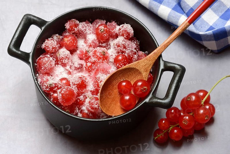 Redcurrants with sugar in pots, Ribes rubrum