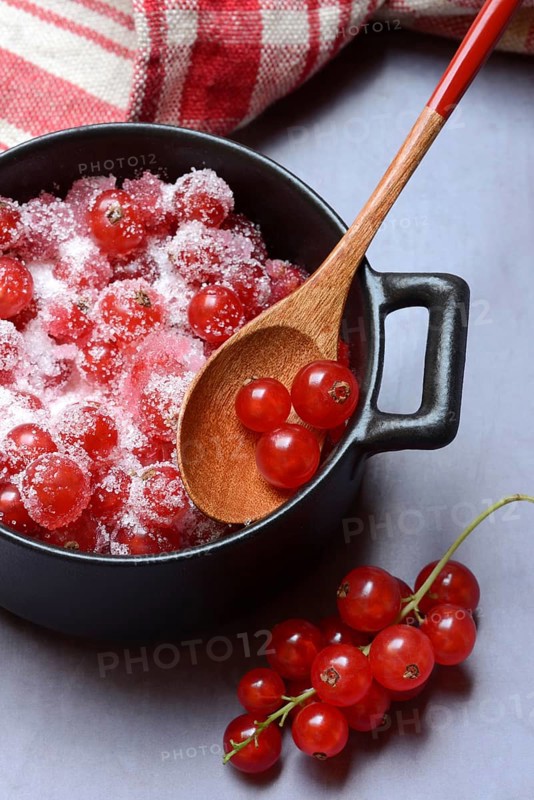 Redcurrants with sugar in pots, Ribes rubrum
