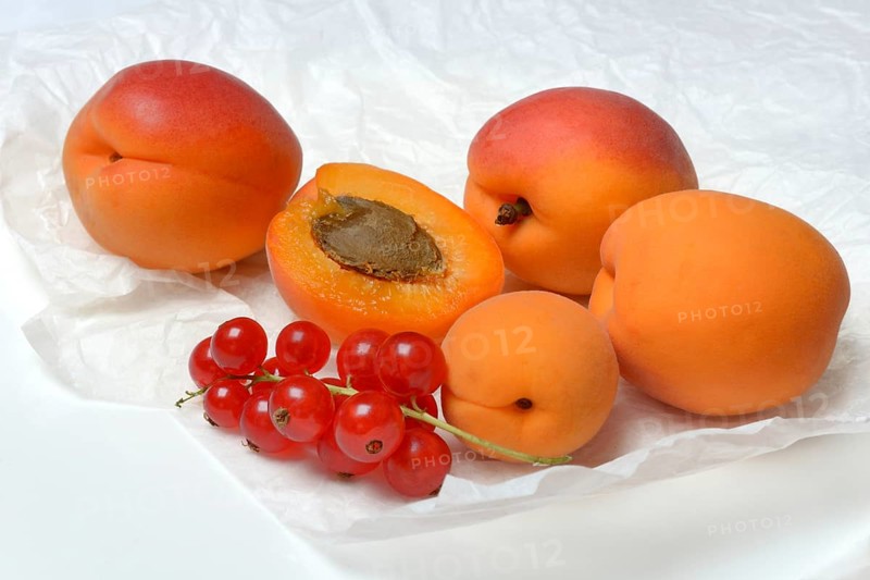 Apricots and redcurrants, Prunus armeniaca and Ribes rubrum