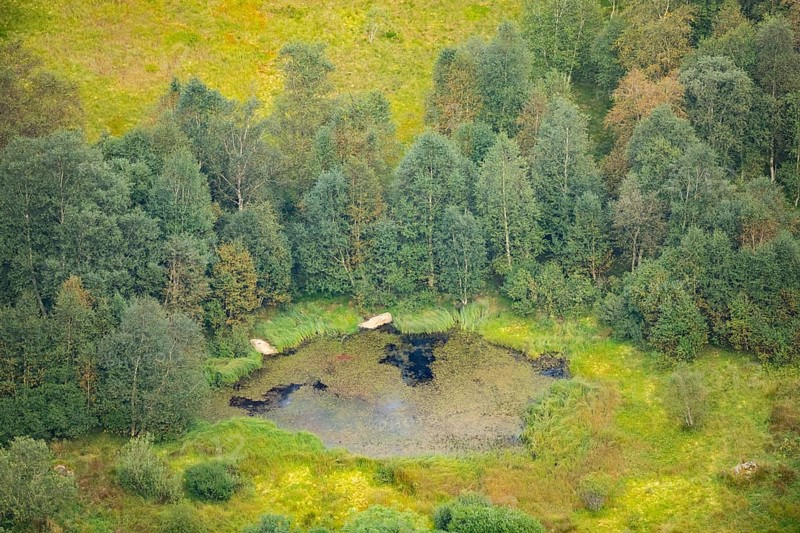 Swamp in a vally from Mount Hohneck in the Vosges Mountains, France