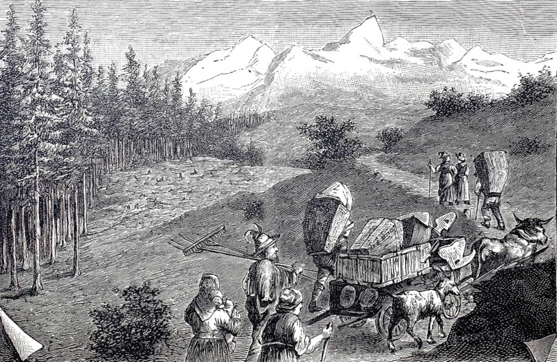 Alpine farmers on their way to the mountain pasture with cow team and tools, Alps, Tyrol, around 1880, Austria, Historical, digitally restored reproduction from a 19th century original, Record date not stated