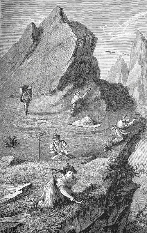 Alpine farmers mowing grass, Alps, Tyrol, around 1880, Austria, Historical, digitally restored reproduction from a 19th century original, Record date not stated