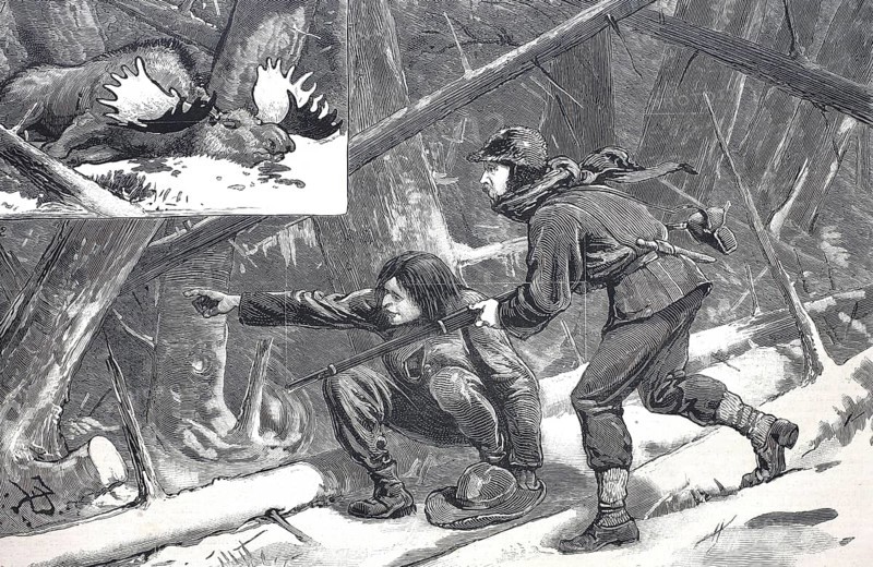 Moose hunt in Nova Scotia, Hunter with rifle and shot moose, 1880, Canada, Historical, digitally restored reproduction from a 19th century original, Record date not stated