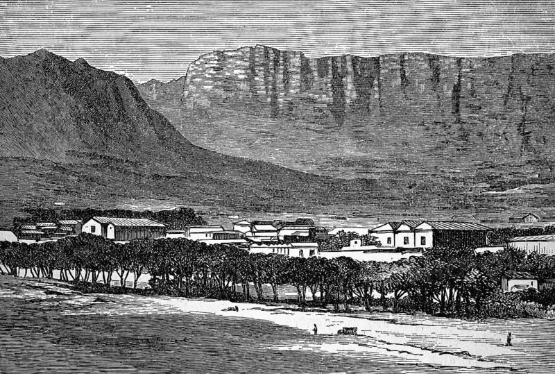 Cape Town with Table Mountain, Mesa, sandstone, quartzitic Table Mountain sandstone, escarpment, geology, settlement, group of trees, mountain landscape, South Africa, historical illustration 1896
