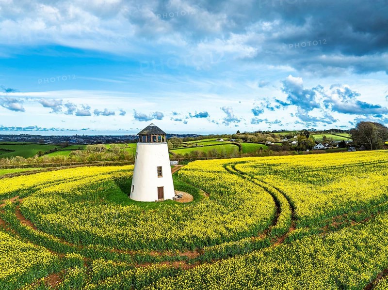 Rapeseed fields and Farms over Devon Windmill from a drone, Torquay, Devon, England, United Kingdom