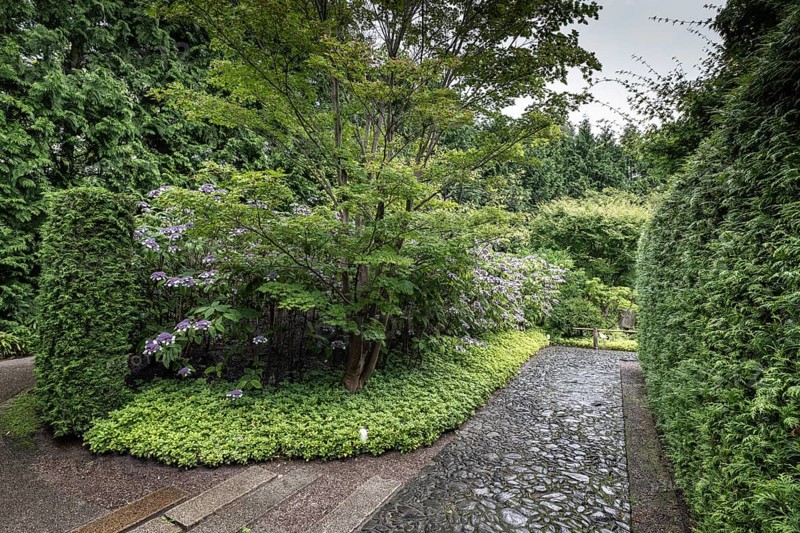 Japanese Garden, Gardens of the World, Berlin, Germany