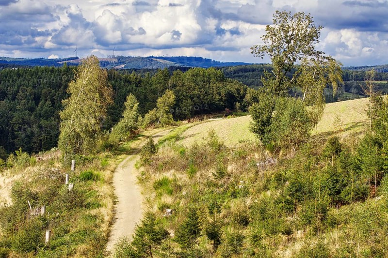 Narrow path through wooded hilly landscape under a partly cloudy sky, Kreuztal, Siegen