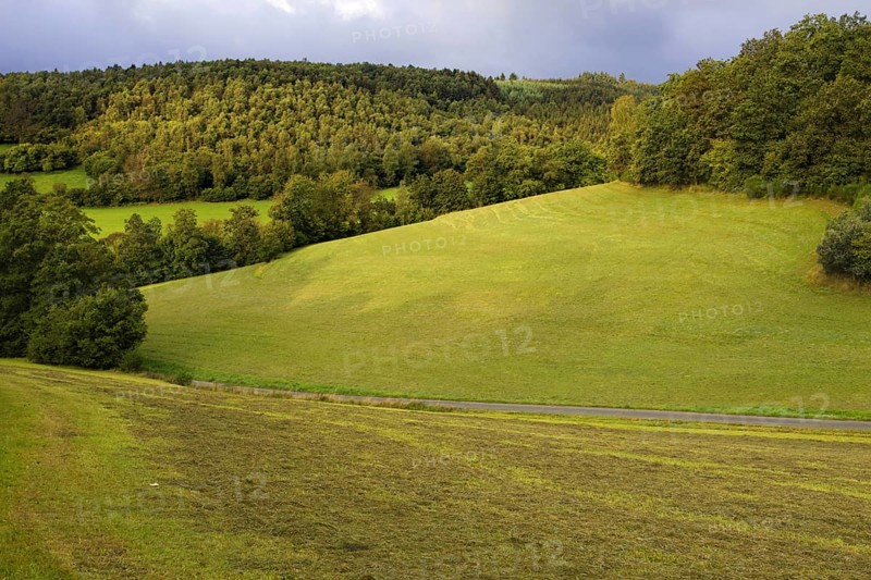 Gently rolling hills with green meadows and neighbouring forest, Siegen