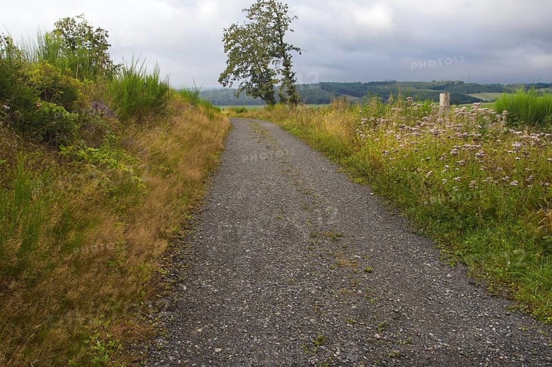 A lonely gravel path through meadows on a cloudy day, Siegen