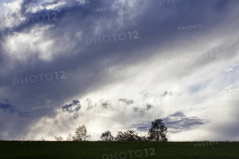 Silhouette of trees under an expansive sky with a dramatic cloudy evening sky, Siegen