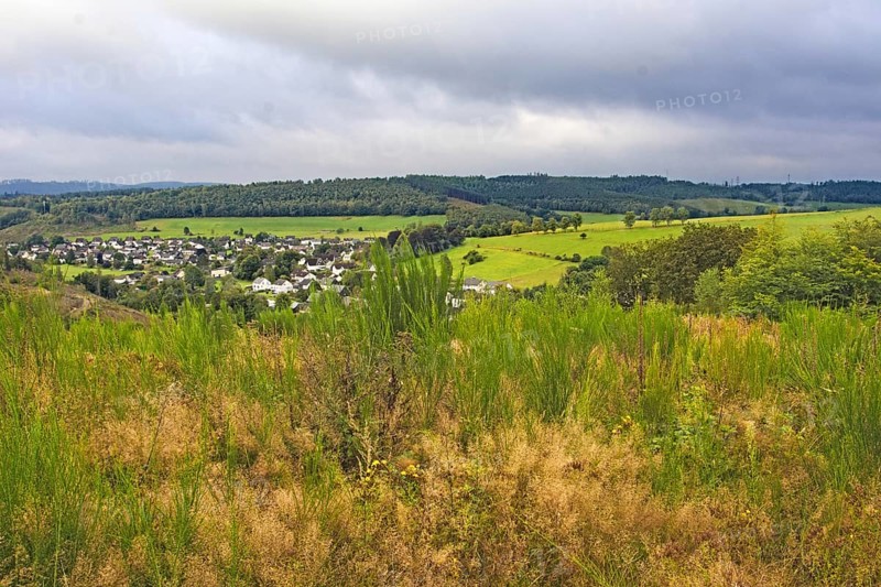 A village surrounded by wide green fields and hills, Langenholdinghausen, Siegen