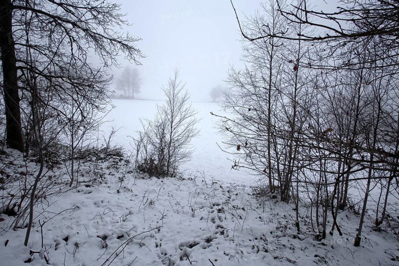 Winter landscape with snow-covered bushes and bare trees, Siegen