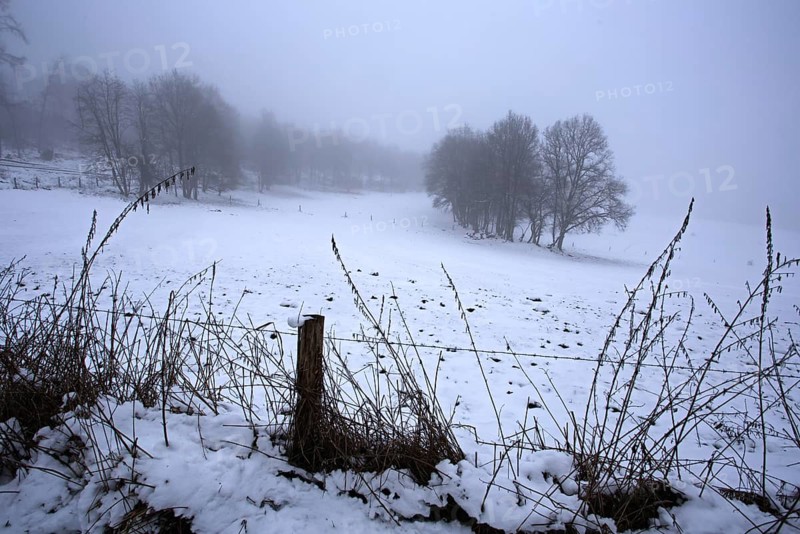 Snowy meadow with trees and misty horizon, Siegen