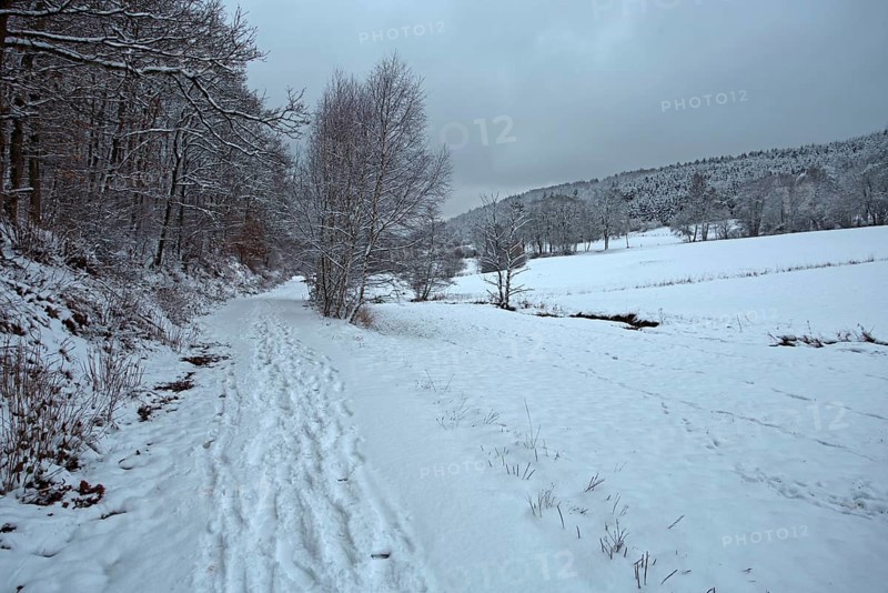 Snow-covered path in a forest with winter landscape and cloudy sky, Siegen
