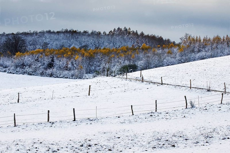 Snow-covered hill with trees in the background, enclosed by a wire fence, Siegen