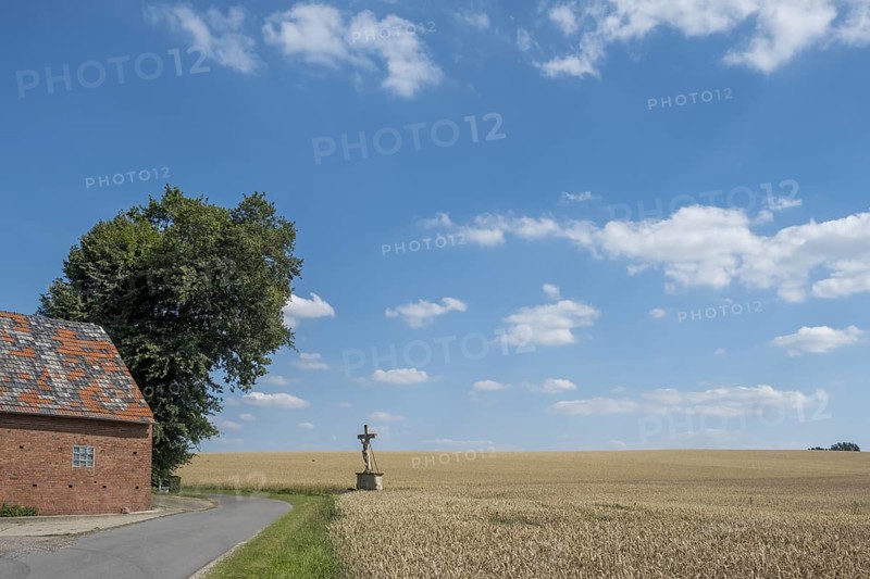 A rural house next to a field with a field cross and a tree in the foreground under a blue sky with clouds, Münsterland, North Rhine-Westphalia, Germany