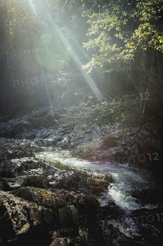 Gorge, Wildbad Kreuth, Kreuth, Upper Bavaria, Bavaria, Germany