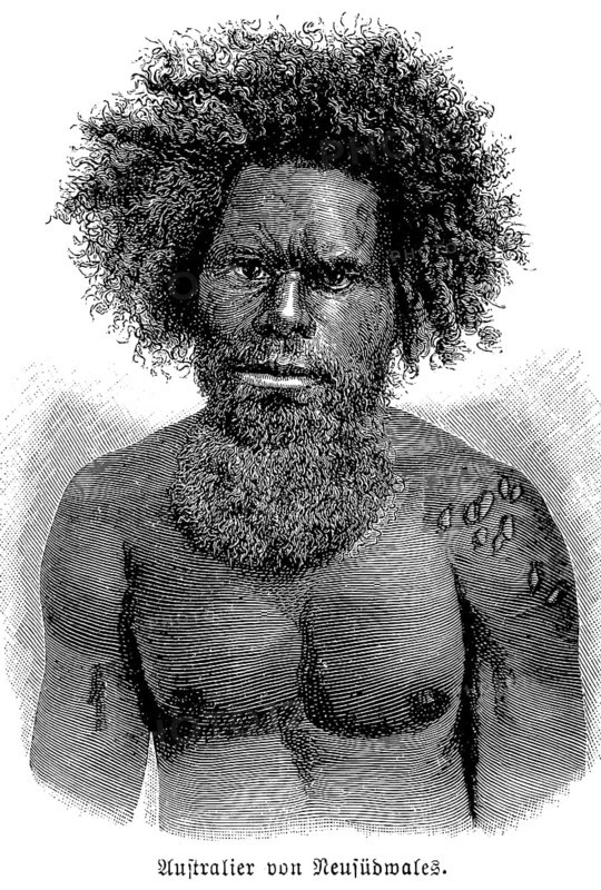 Australian from New South Wales, New South Wales, portrait of a young man, face, indigenous ethnicity, full beard, scars, tattoos, free upper body, historical illustration 1896