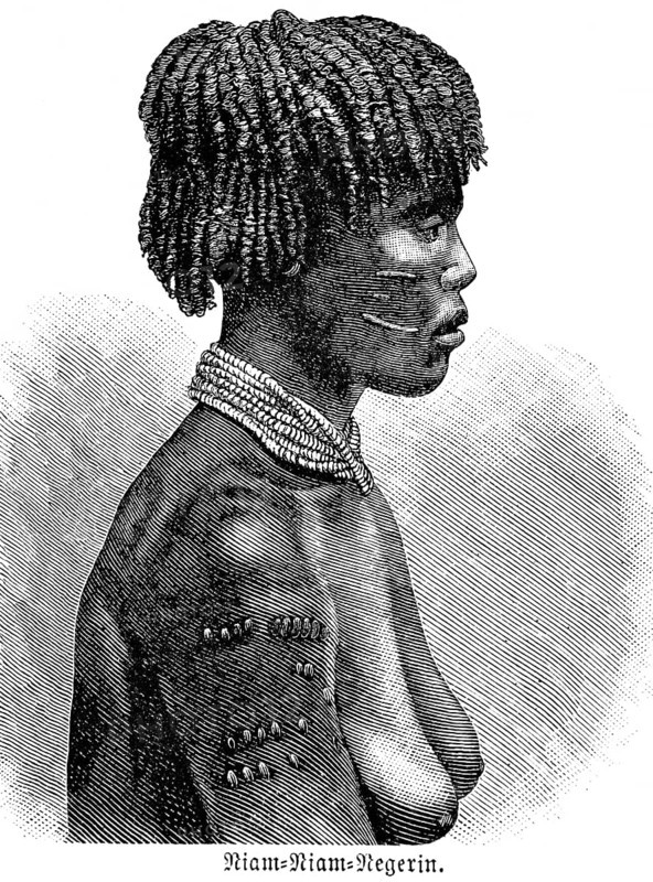 Young Niam-Niam woman, colonial and derogatory term for the Azande or Zande, indigenous ethnic group in Central Africa, portrait in profile, face, side view, bust view, braided hairstyle, scars, necklace, tattoos, sad look, historical illustration 1896