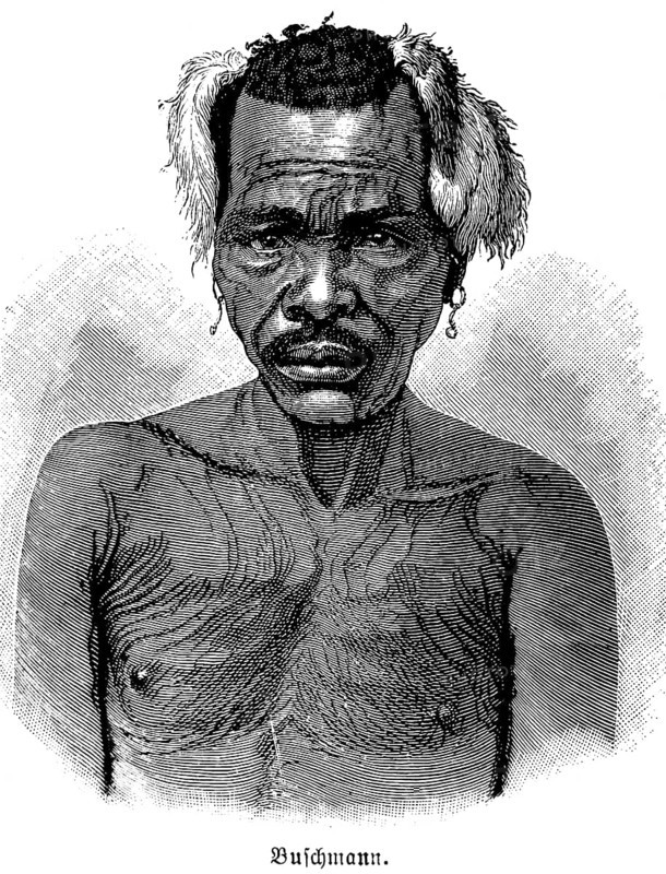Bushman, former discriminatory term for the San people in South Africa, indigenous ethnic group, portrait middle-aged man, face, tattoos, headdress, feathers, beard, sad look, historical illustration 1896