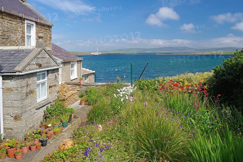 Stone cottage by the sea with flowering garden surrounded by peaceful coastal landscape, Stromness, Orkney Islands, Scotland, United Kingdom