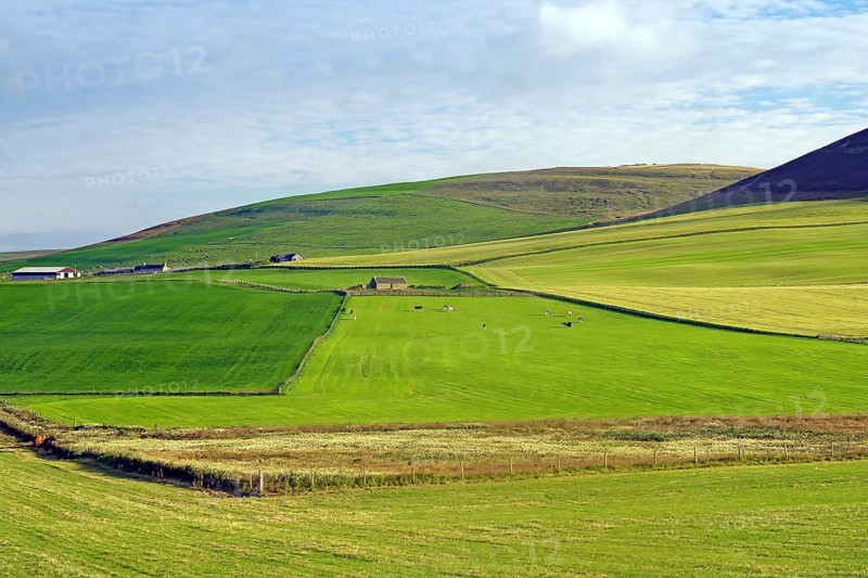 Green fields and hills under a partly cloudy sky, Mainland, Orkney Islands, Scotland, Great Britain