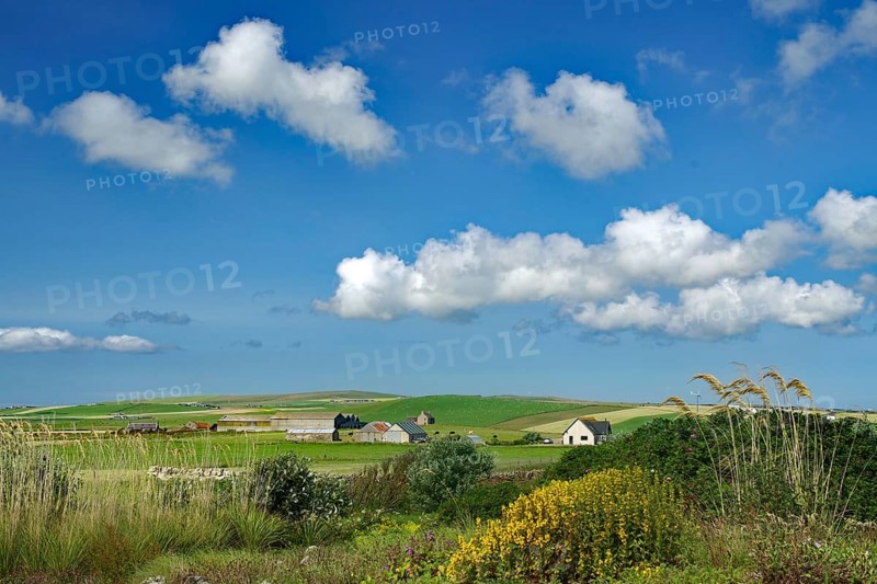 Village landscape with houses and fields under a cloudy sky, Mainland, Orkney Islands, Scotland, Great Britain