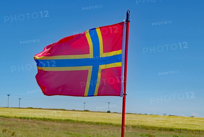 Red flag with yellow cross waving in front of blue sky and flowering meadow, flag of the Orkney Islands, Mainland, Orkney Islands, Scotland, Great Britain