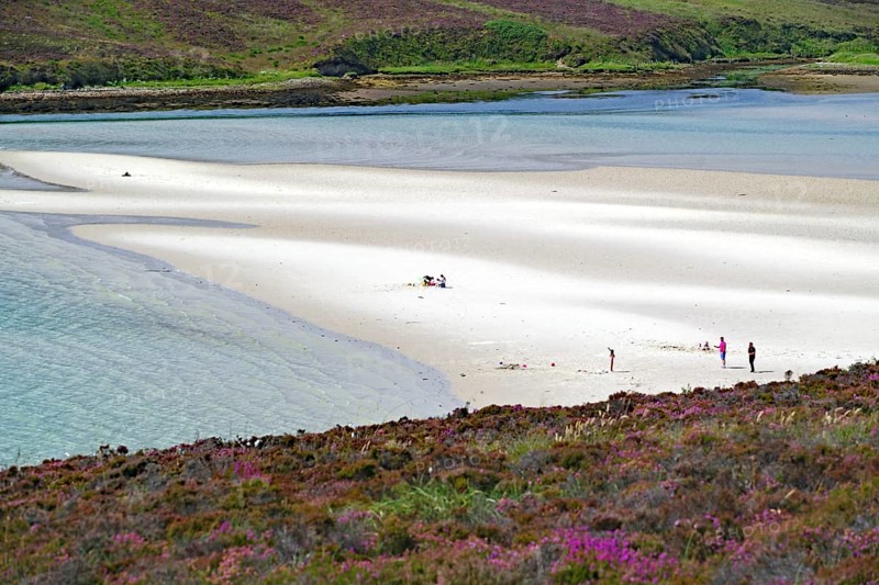 White sandy beach with calm clear waters, ideal for relaxation and tranquillity, Mainland, Orkney Islands, Scotland, United Kingdom