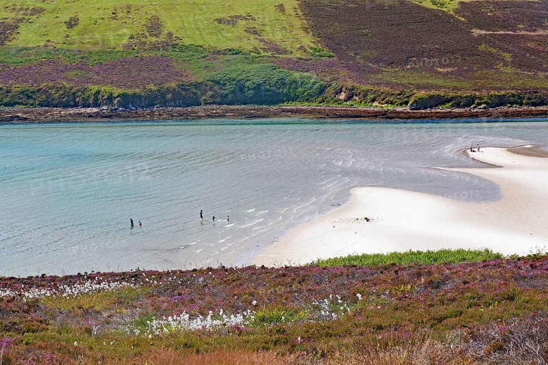 People enjoying leisure activities on a sandy beach with clear water, Mainland, Orkney Islands, Scotland, United Kingdom
