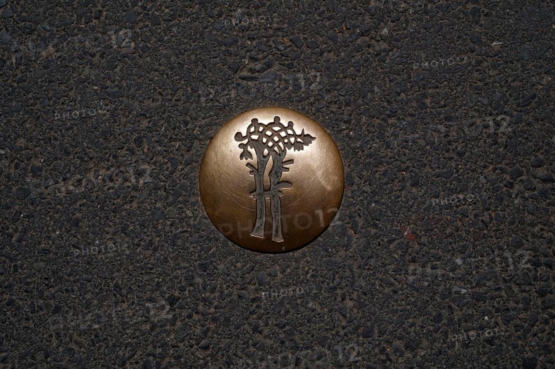 Golden waymarker for city tour on the asphalt, motif liberty tree, old town, Bayeux, Normandy, Calvados, France