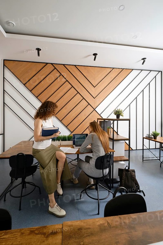 Two women discussing their a startup in the field of women's health in a contemporary office