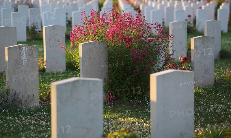 Gravestones, war graves, soldiers' graves, flowers, British and German military cemetery, Cimetière militaire britannique, D-Day, Operation Overlord, Bayeux, Normandy, Calvados, France