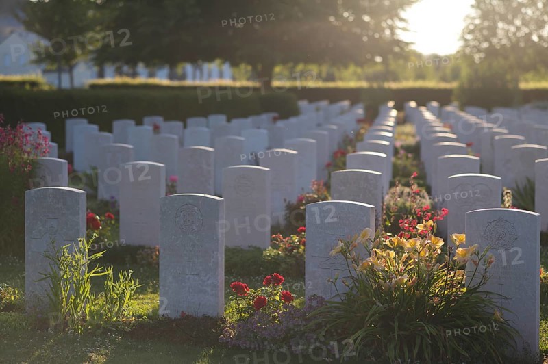 War graves, military graves, flowers, roses, British and German military cemetery, Cimetière militaire britannique, D-Day, Operation Overlord, Bayeux, Normandy, Calvados, France
