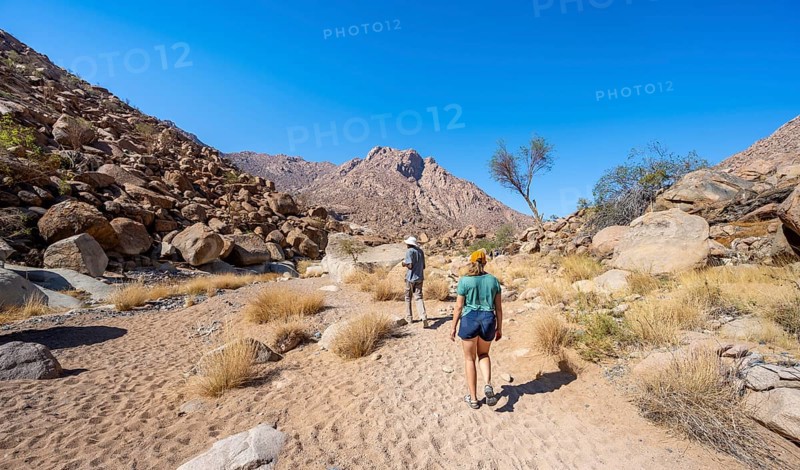 Tourist with guide on the White Lady Trail, Tsisab Gorge, desert landscape, Brandberg, Erongo, Damaraland, Namibia