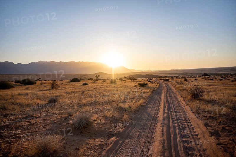Sandy track, desert landscape in the evening light at sunset, backlit, Brandberg, Erongo, Damaraland, Namibia