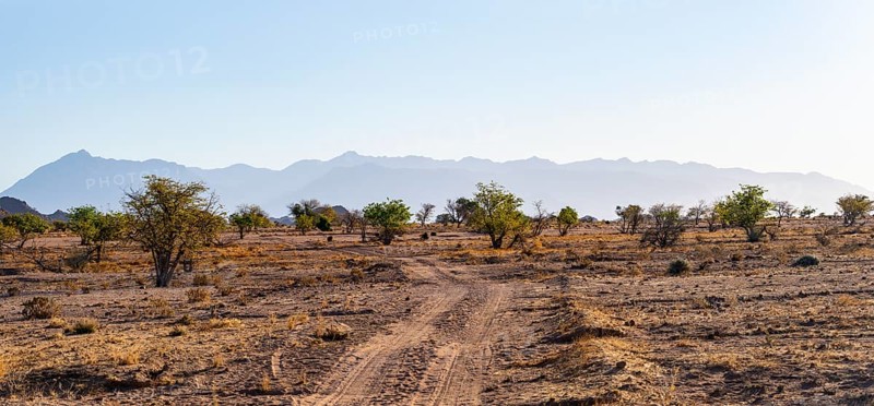 Sandy track, desert landscape, Brandberg, Erongo, Damaraland, Namibia