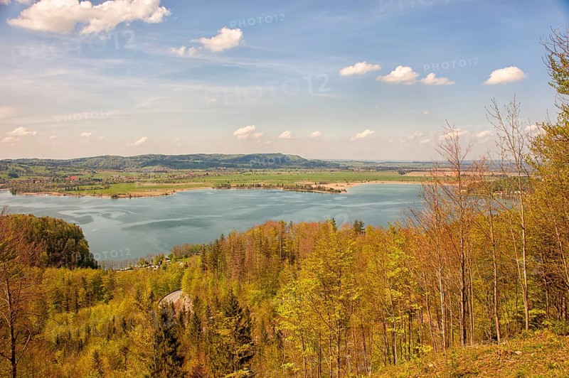 Lake Kochel with mountain forest, Kochel, Upper Bavaria, Bavaria